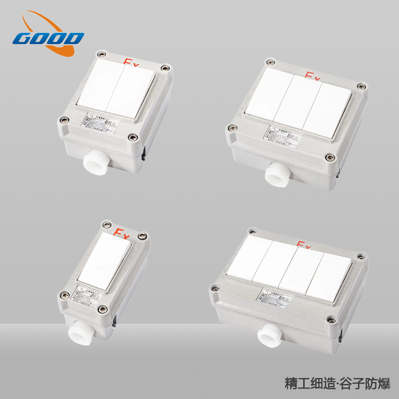 SW-10系列防爆照明开关（单联、双联、三联、四联）