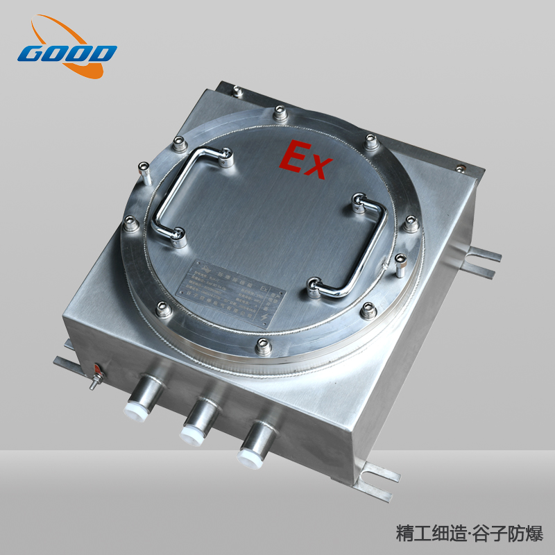 BJX系列（304不锈钢）防爆接线箱（IIC）