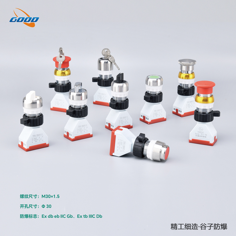 8097-A2系列防爆金属按钮