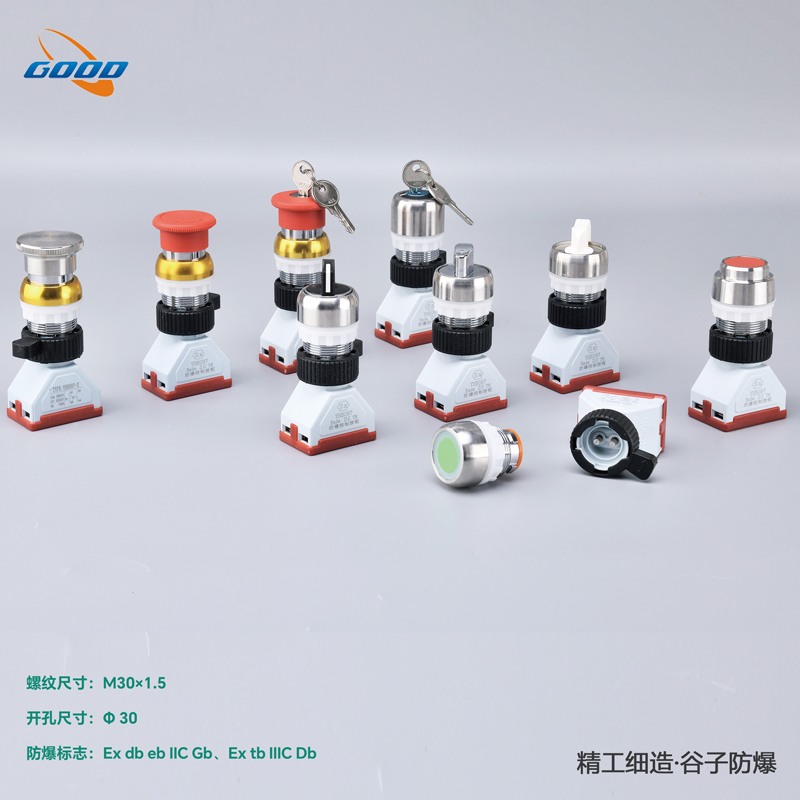 8097-B2系列防爆金属按钮